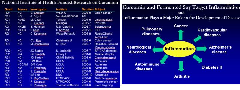 NIH-CurcuminFermentedSoy-Inflammation