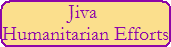 Jiva Humanitarian Efforts