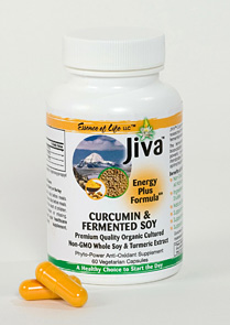 Jiva Curcumin & Fermented Soy Plus