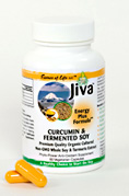 Jiva Curcumin & Fermented Soy Plus